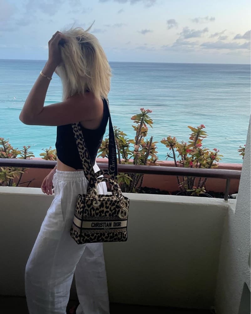 Dior Leopard Bag  - Image 1