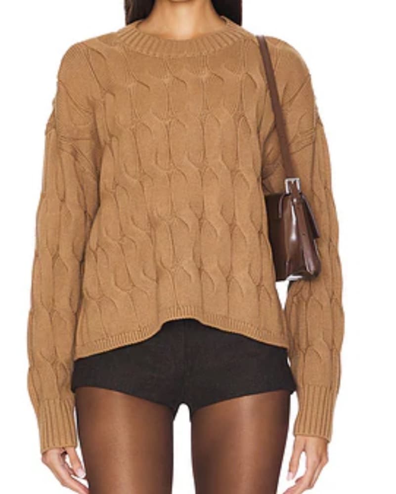 Woll Brown Mini Shorts - Image 1