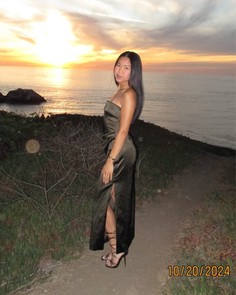 Aritzia Ten Exclusive Satin Dress - Image 1