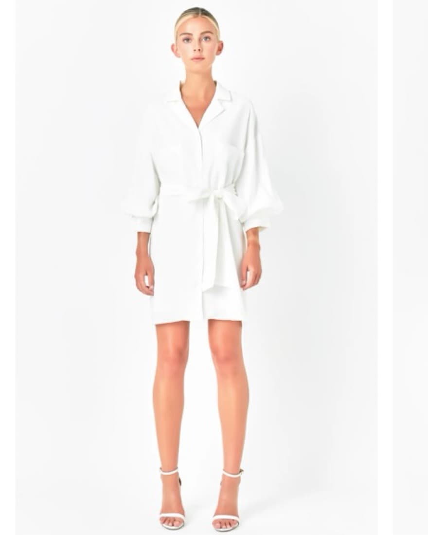 Endless Rose Belted Mini Dress - Image 2