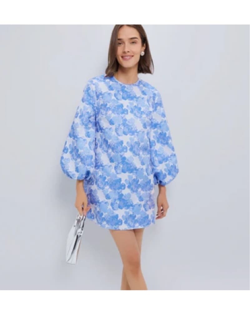 Tuckernuck pale blue jacquard janie mini - Image 3