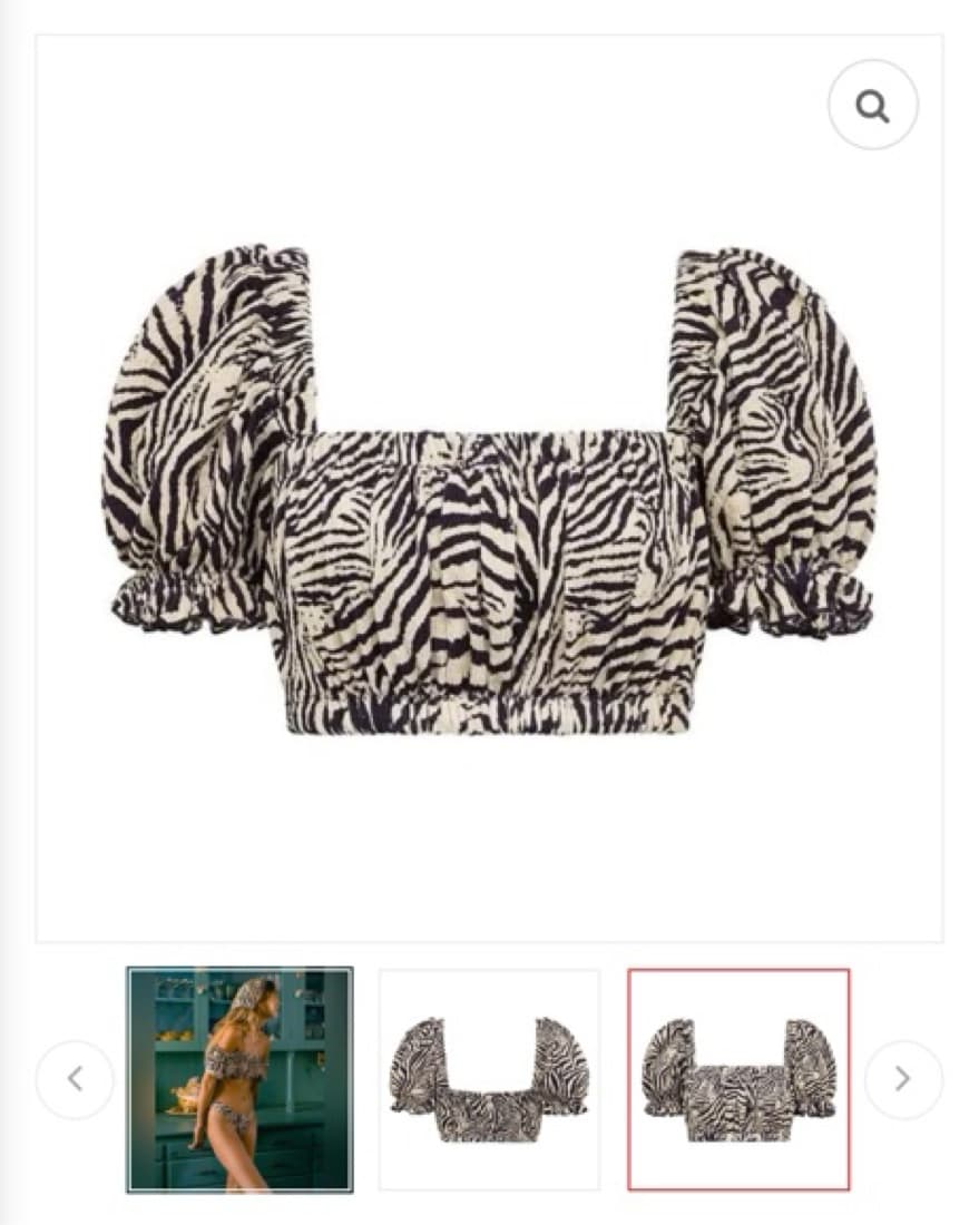 Montce Zebra Print bikini - Image 3
