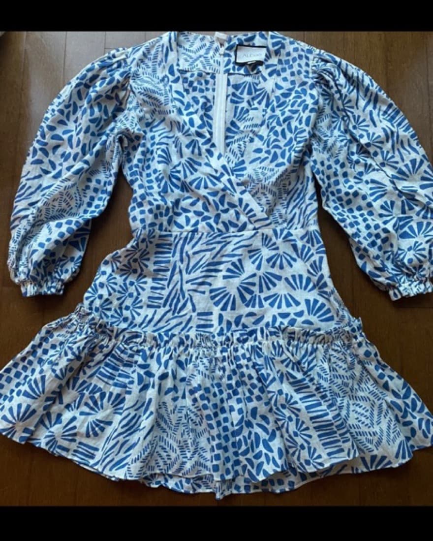 Alexis Idony Mini Dress - Image 3