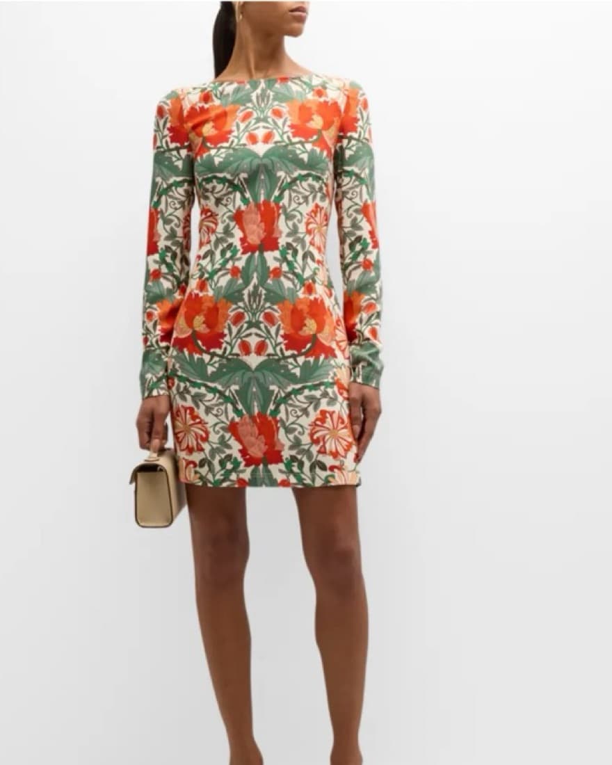 Cara Cara Amaya Mini Dress  - Image 1