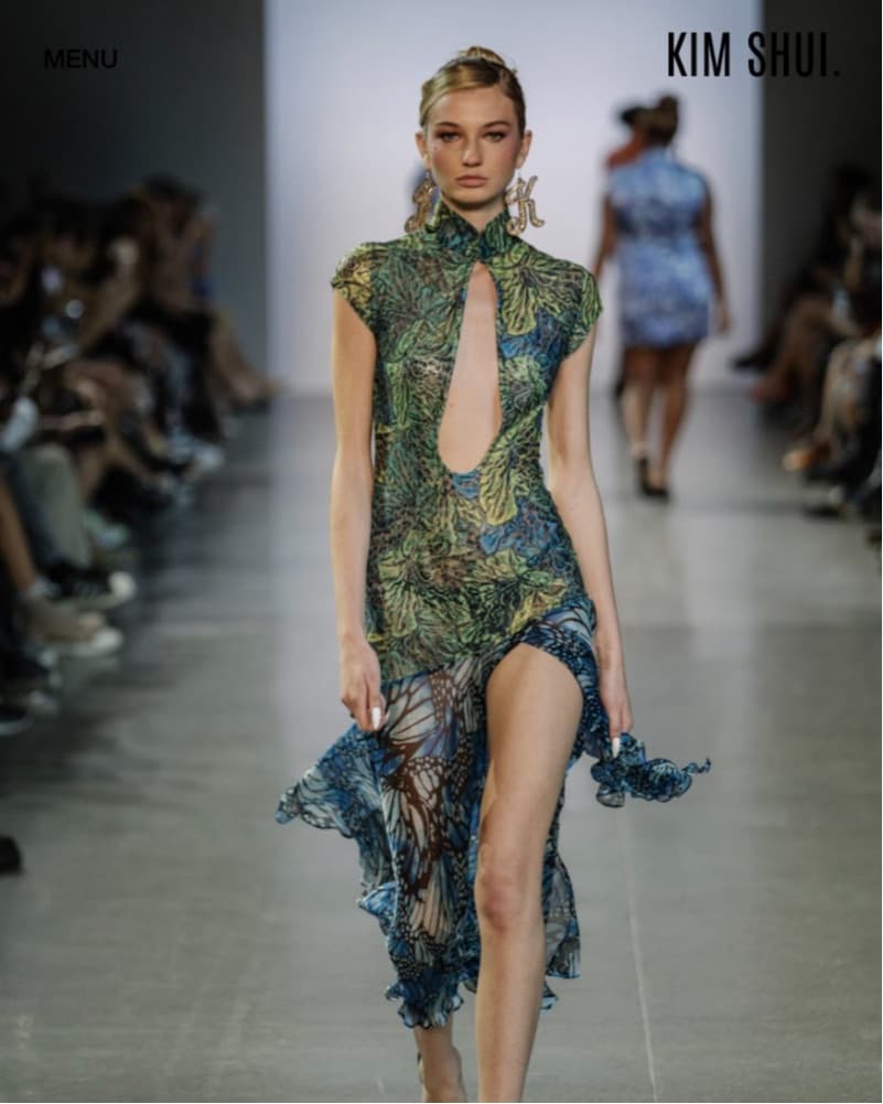 Kim Shui Sheer Butterly Dress - Image 1