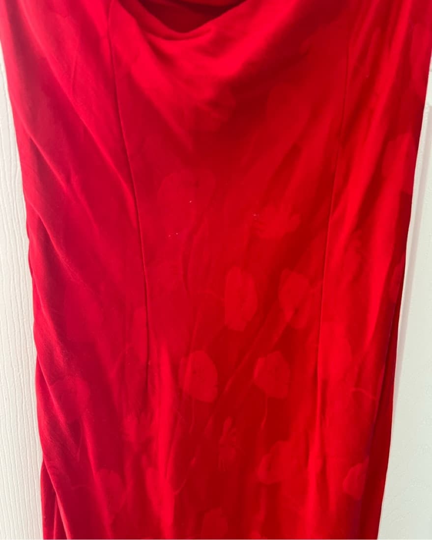 Rat & Boa Red Gown - Image 5