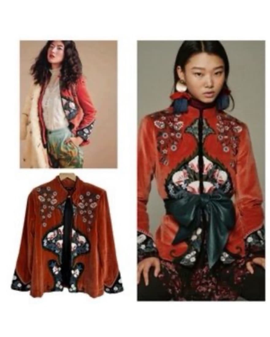 Zara Embroidered Velvet Jacket - Image 3