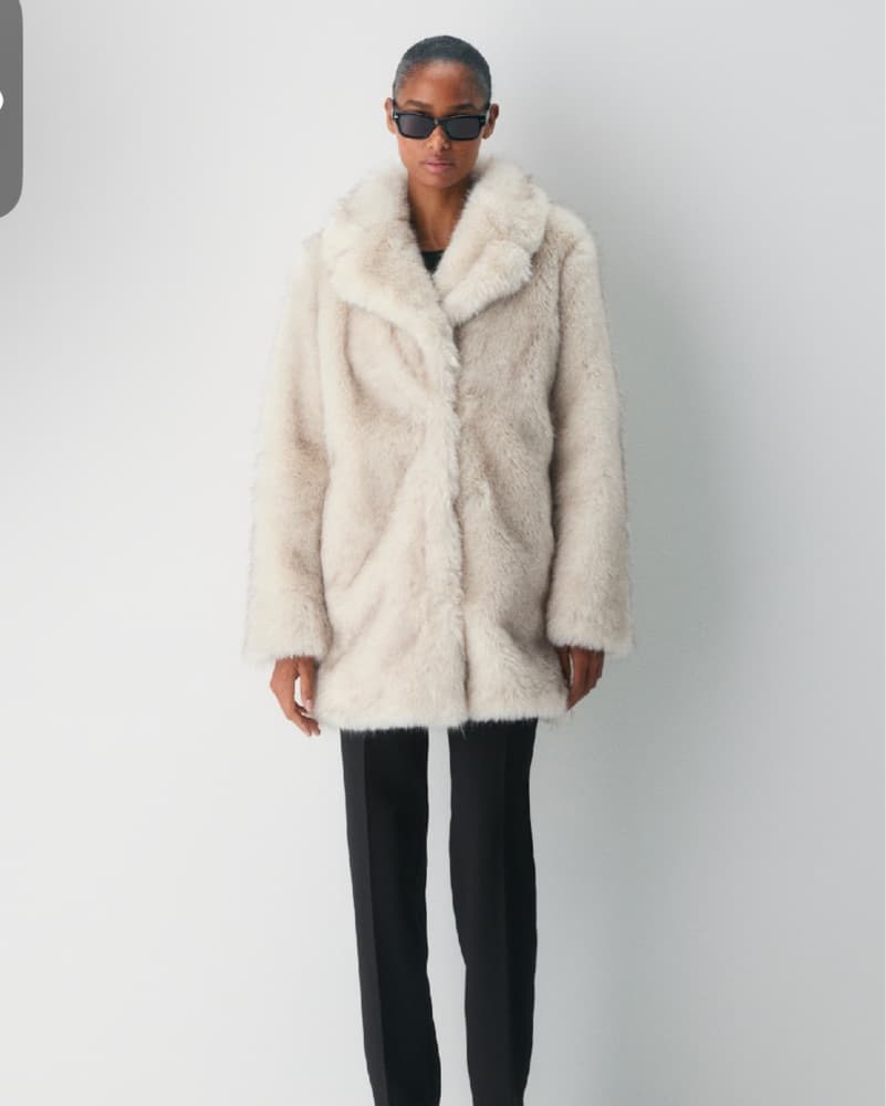 Aritzia Cortina Fur - Image 1