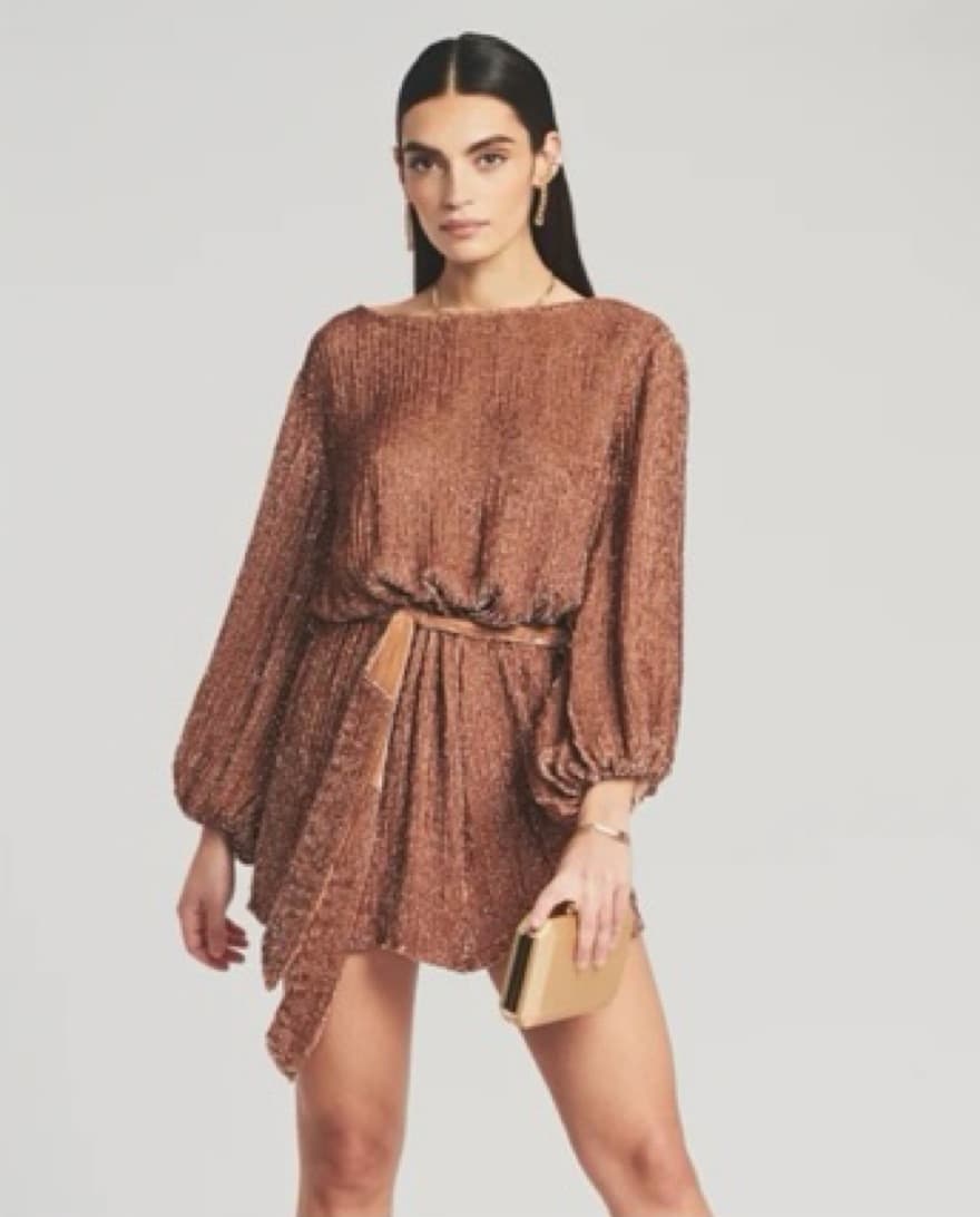 Brown Retrofete Gabrielle Robe Dress  - Image 2