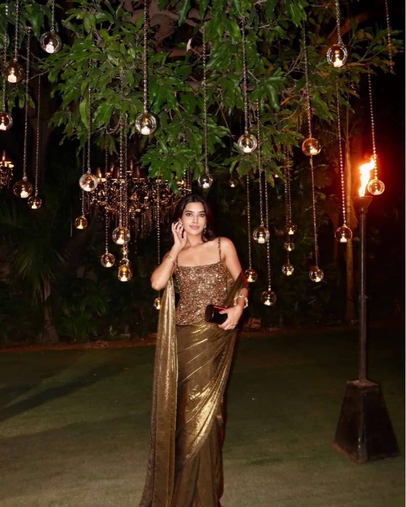 Bronze Pre- Draped Sari  - Image 5