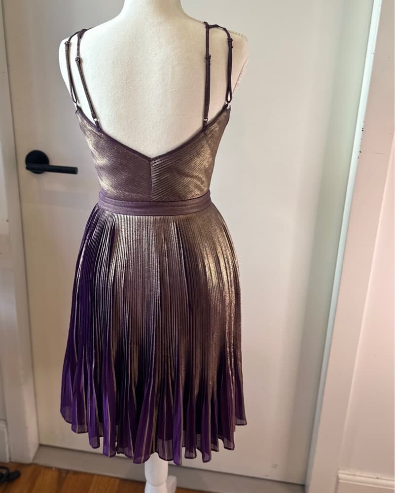 Feel Like Wonder Woman! Pleated Metallic - Image 2