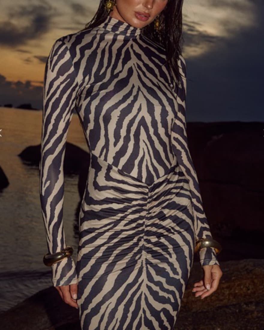 Striking Zebra Print Maxi Dress - Image 5