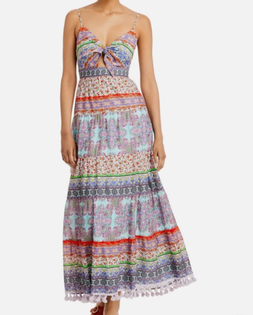 Alice & Olivia Maxi Dress  - Image 1