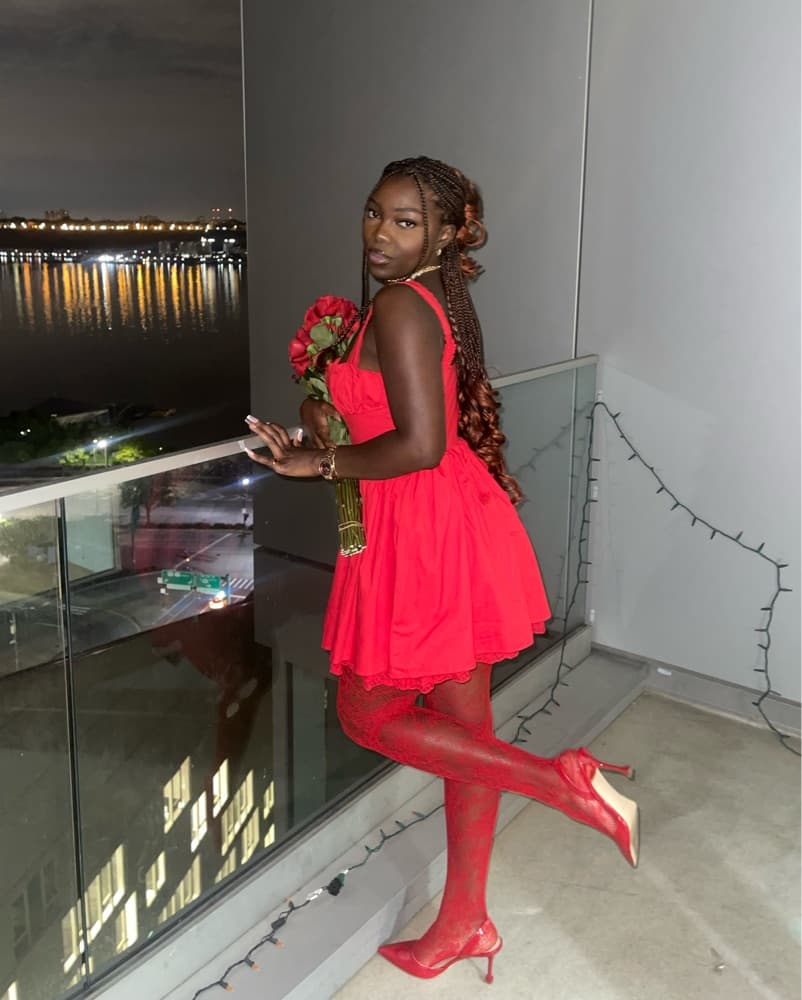 Brit Red Poplin Mini Dress - Image 5