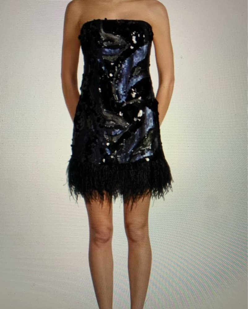 Little  Black Dress Sequins Ostrich Trim - Image 3