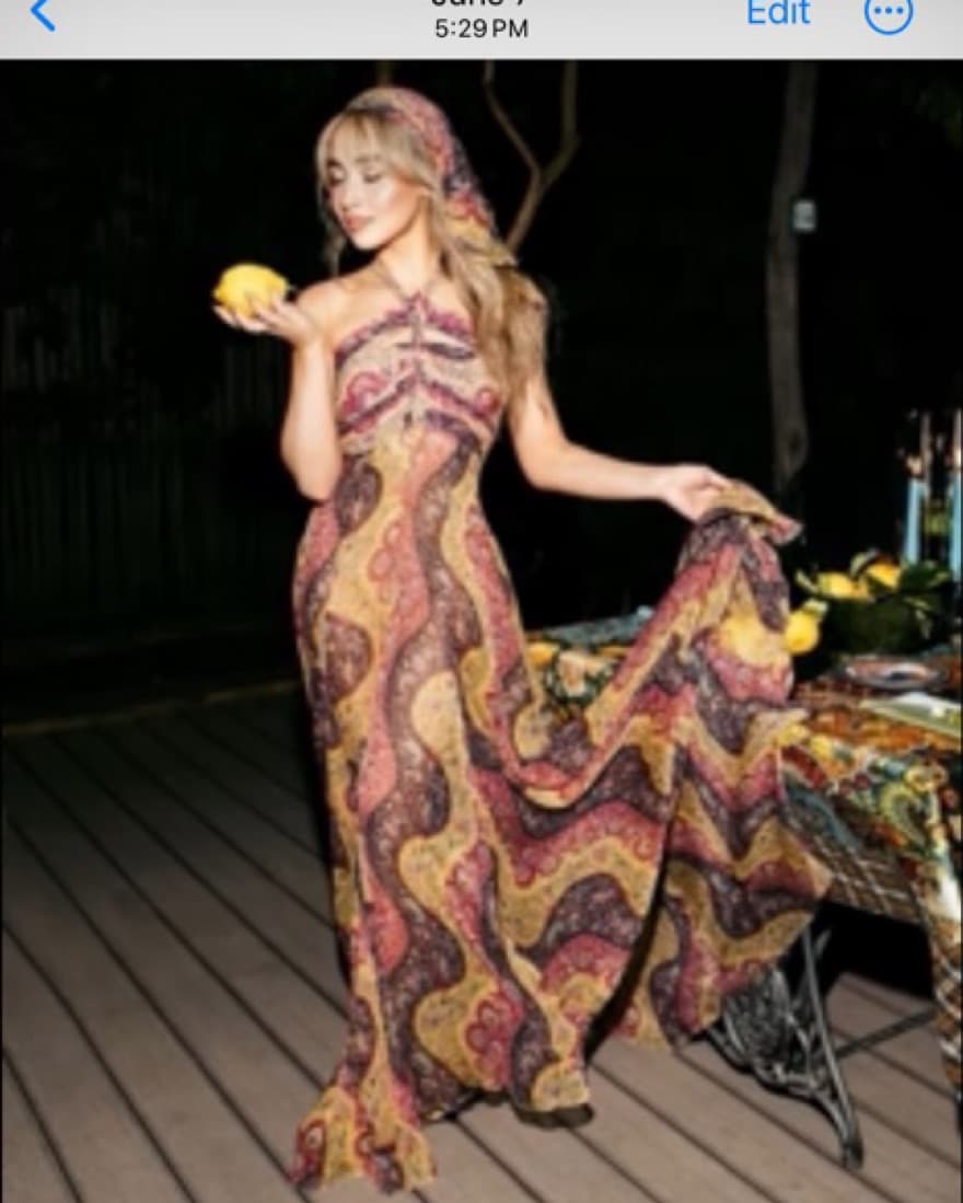 Etro Dress - Image 4