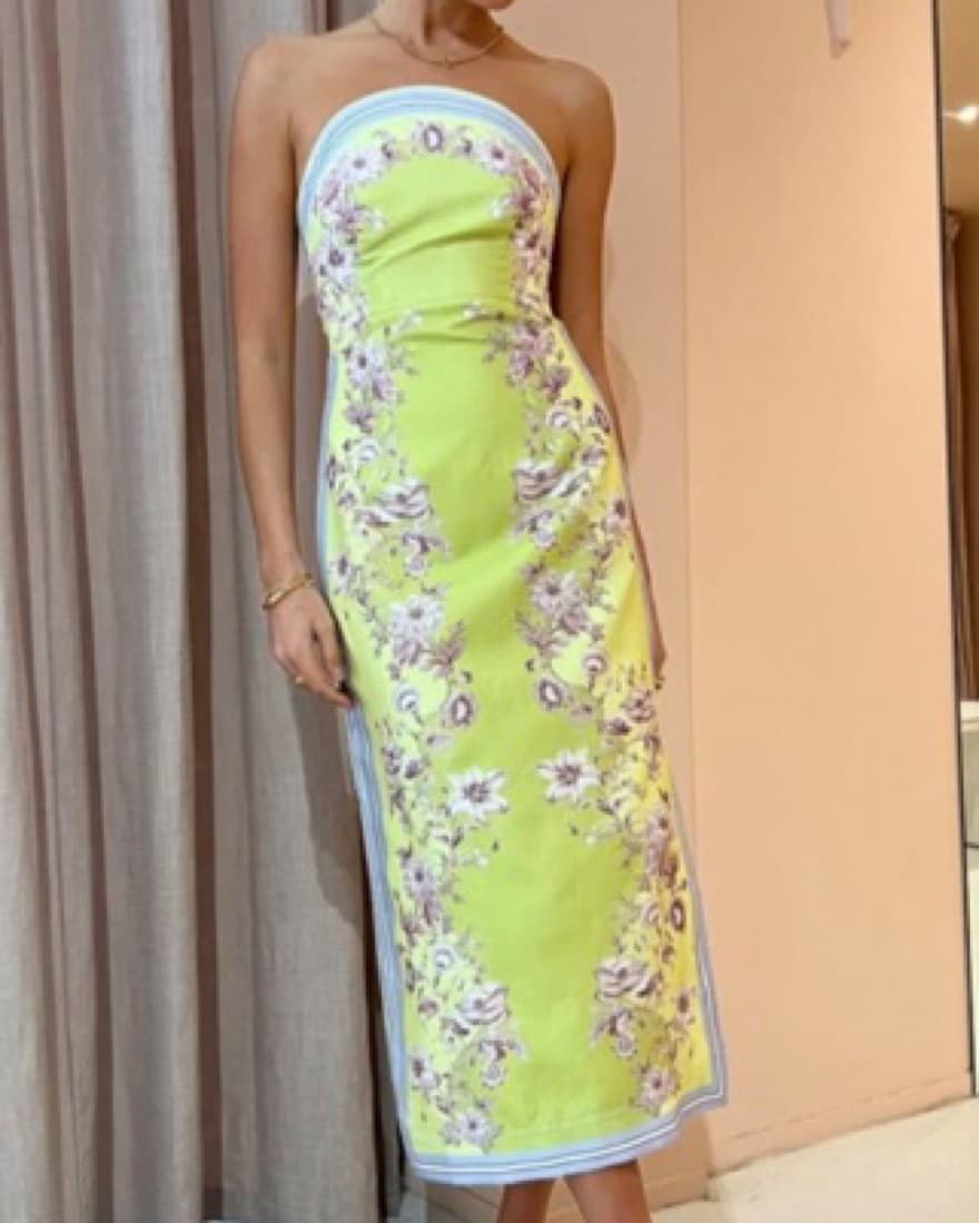 Alemais Marlow Bodice Dress - Image 1