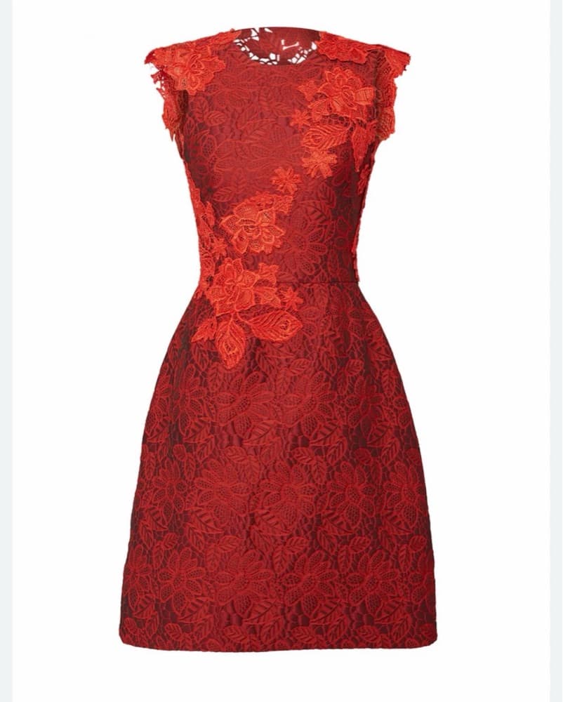 Monique Lhuillier Red Embroidered Lace - Image 1