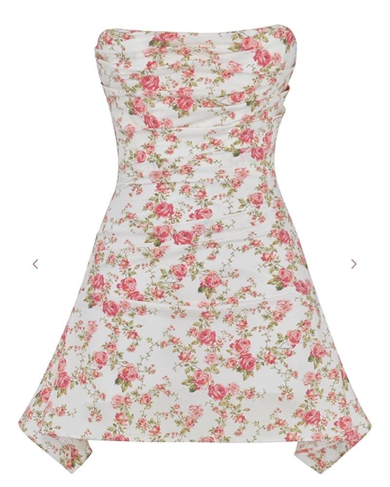 Jasmine Rose Print Draped Corset Dress - Image 5