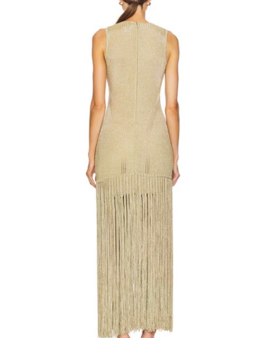 Aknvas Gold Fringe Dress  - Image 3