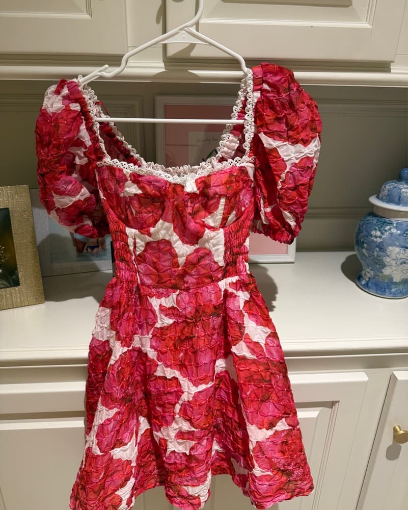 Charo Ruiz Ceile Minu Dress - Image 1