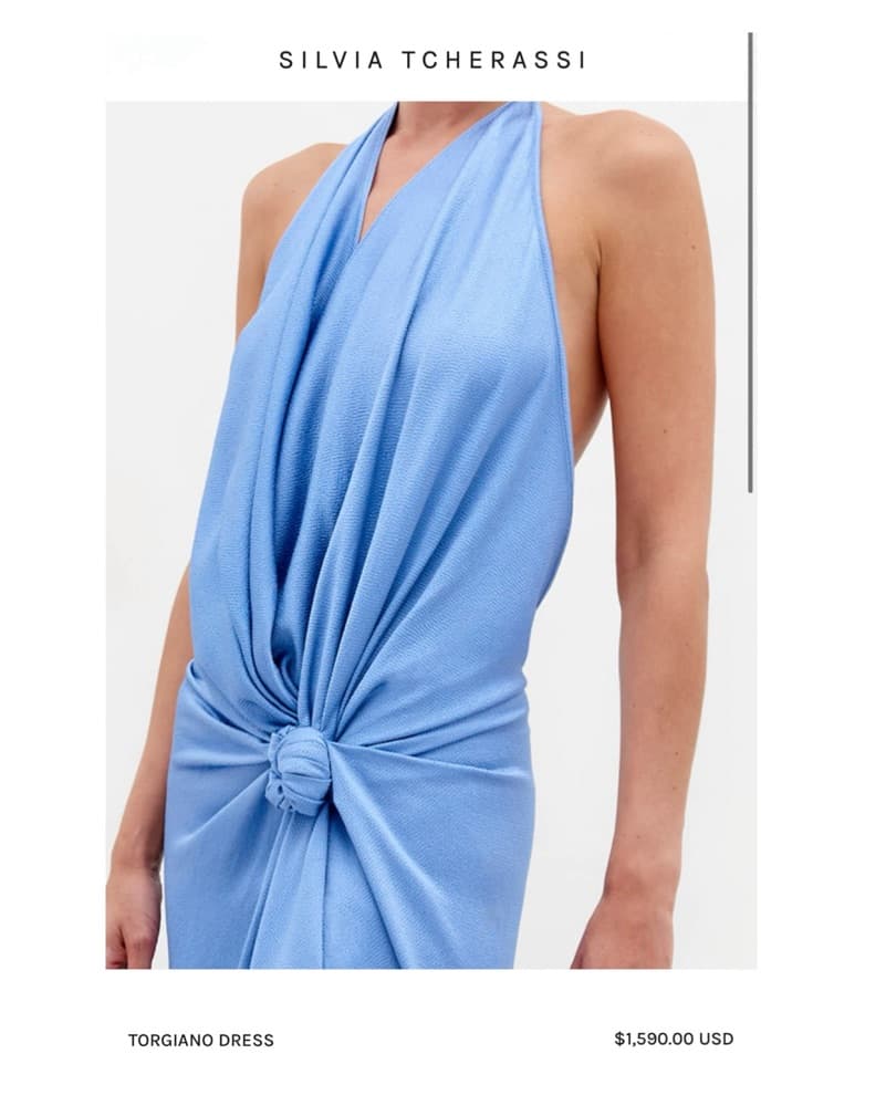 Silvia Tcherassi Torgiano Gown  - Image 6