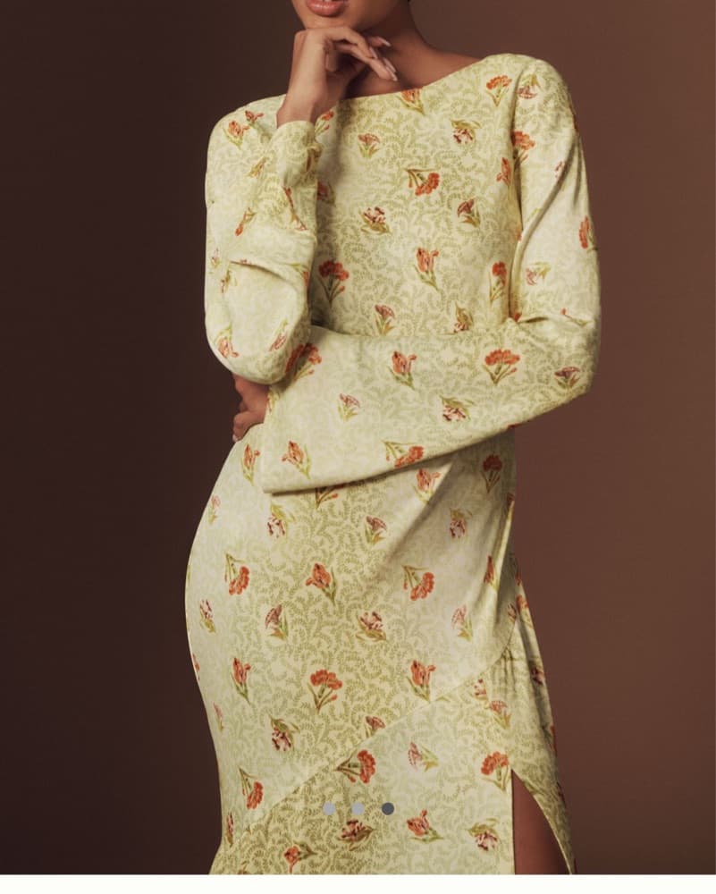 BHLDN Dani Longsleeve Open-back Dress - Image 3