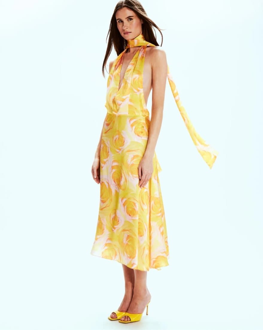 Mirae Paris Camilla Wild Roses Dress - Image 4
