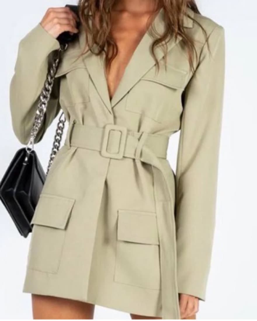 Lioness Blazer Dress - Image 1