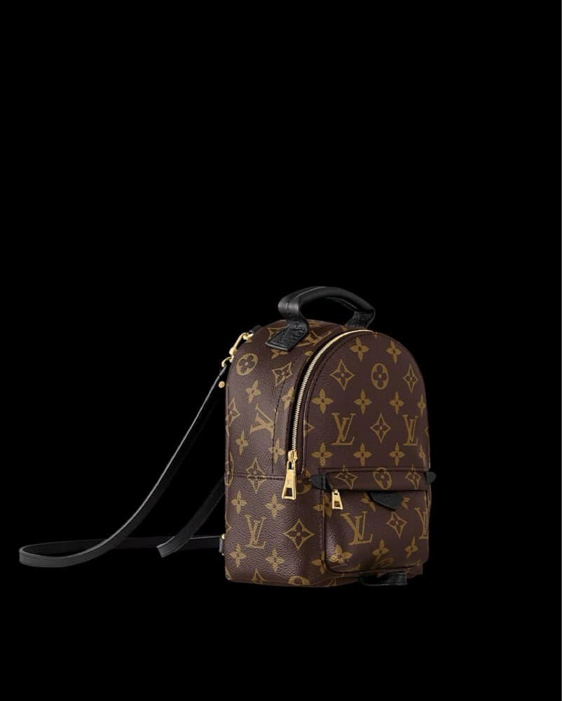 Louis Vuitton Palm Springs Mini  - Image 5