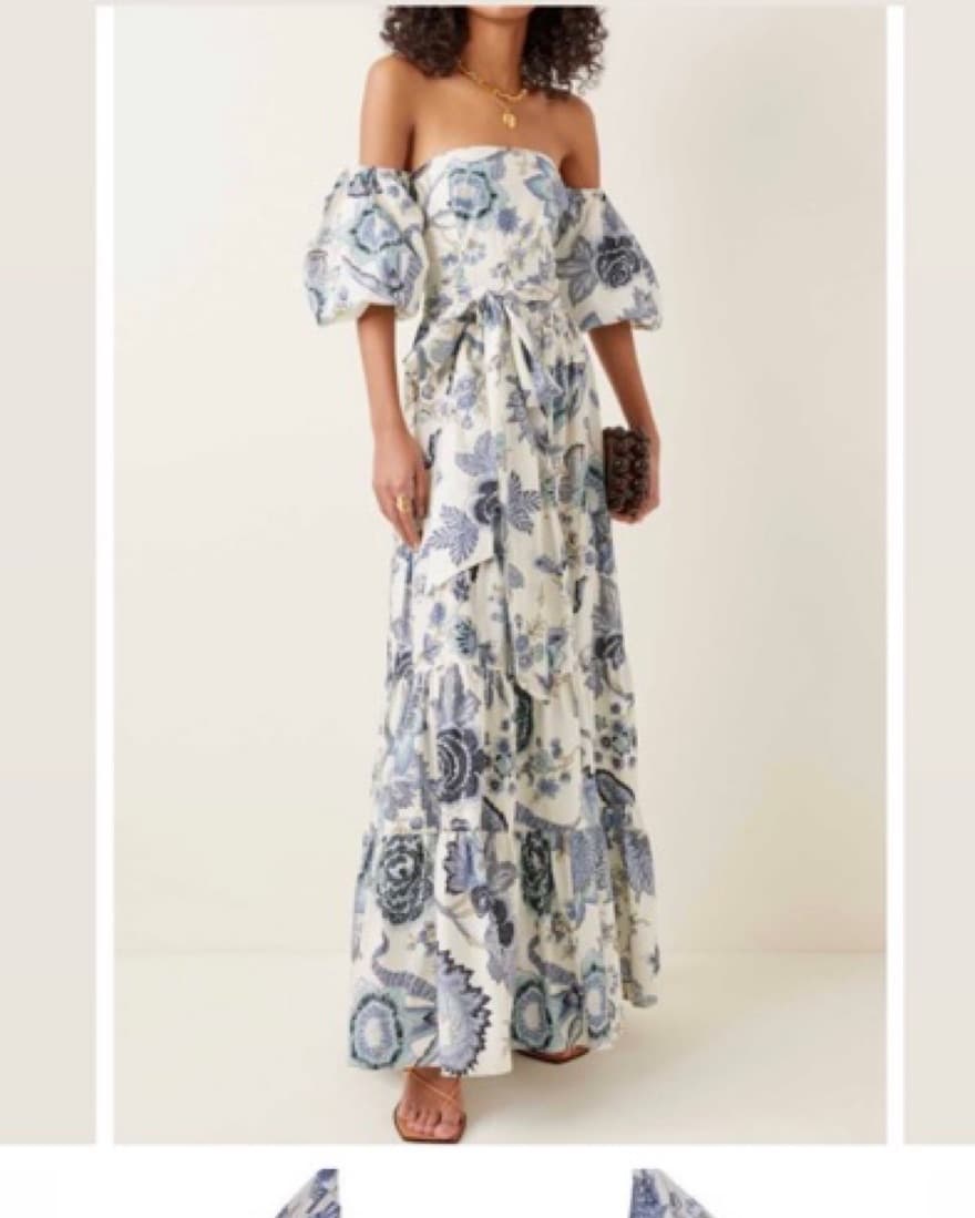 Cara Cara Blue and White Gown - Image 1