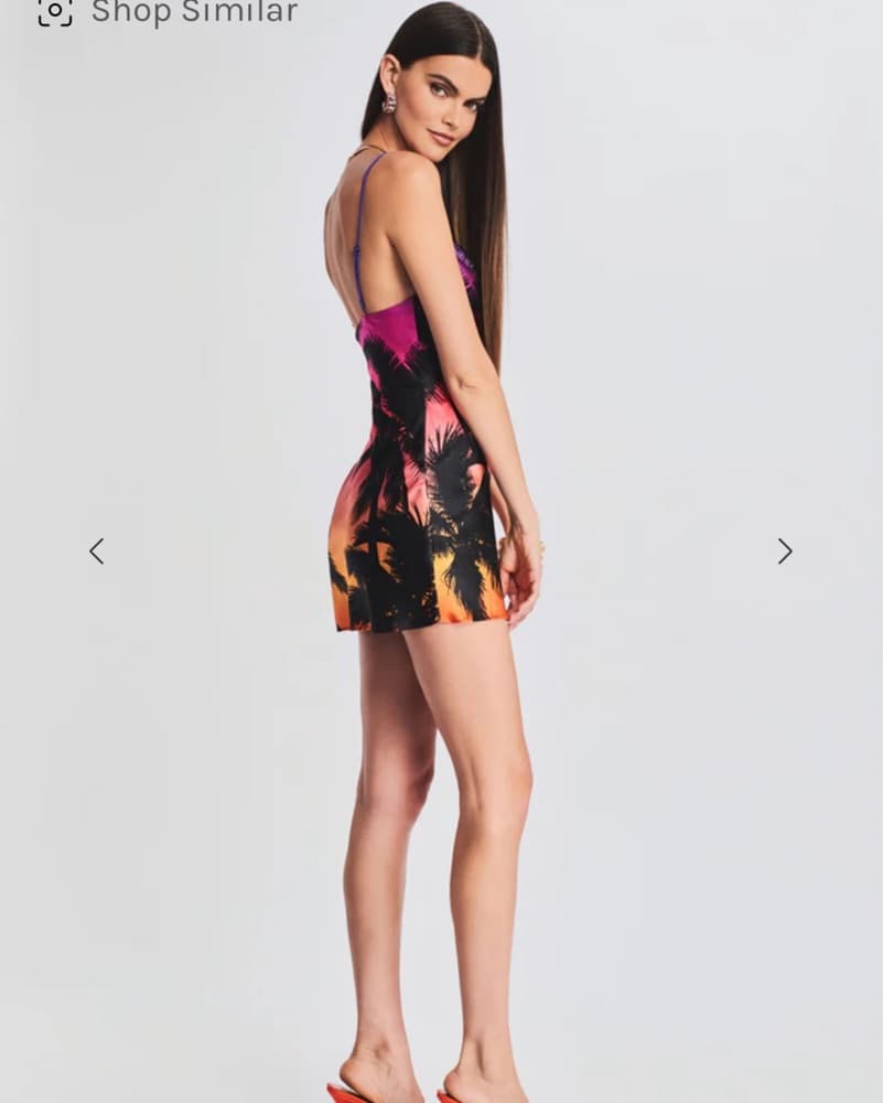 Retrofete Mini Dress - Image 3