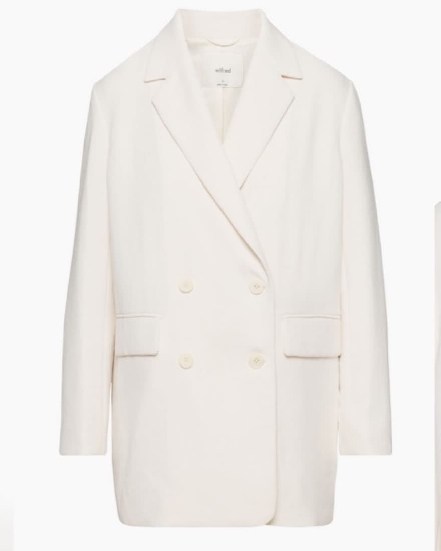 Aritizia Blazer - Image 1