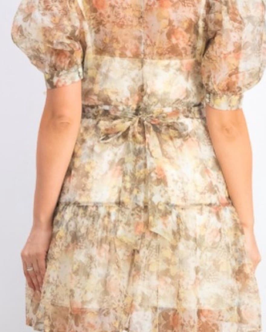 Printed Organza Puff Sleeve Mini Dress - Image 2