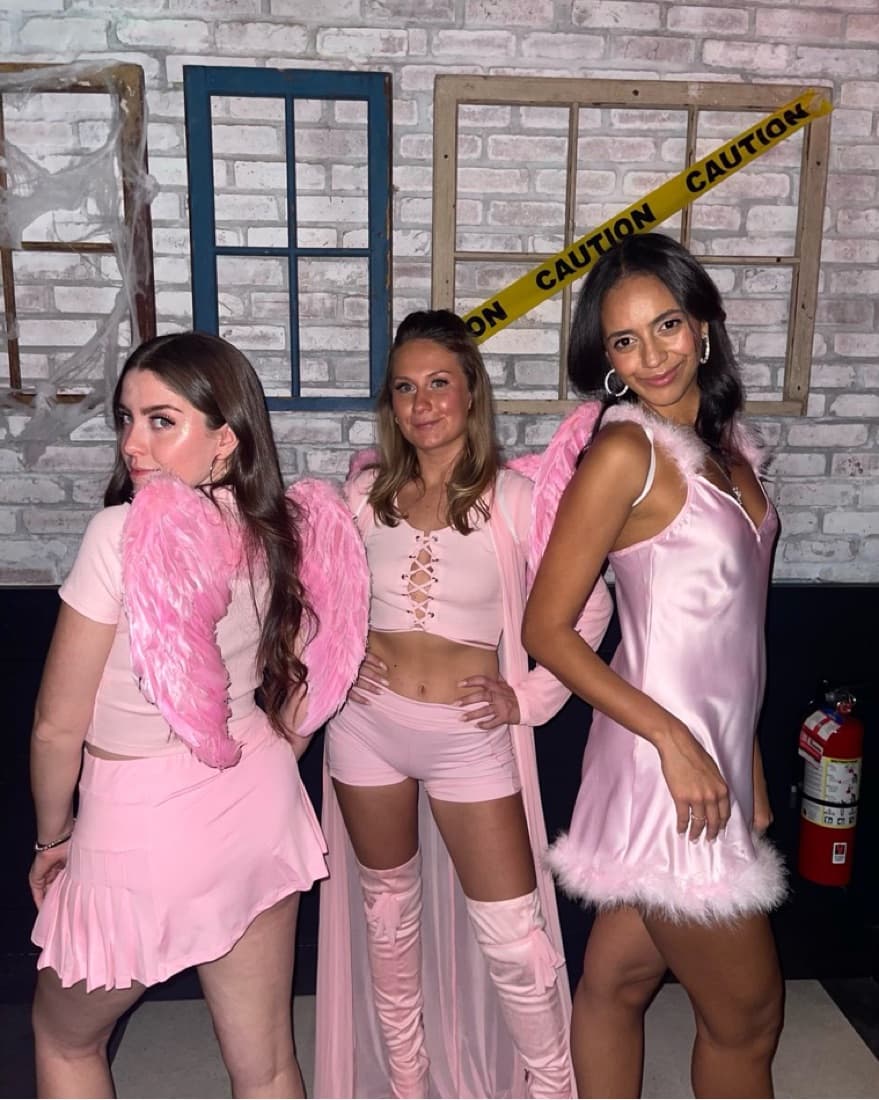 Pink Slip Dress With Fur Trim & Wings - Image 1