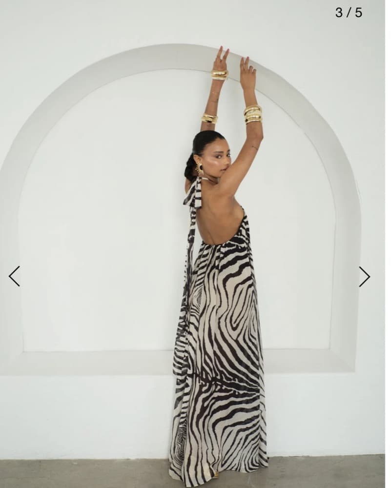 Delfi Isla Zebra Print Dress - Image 3