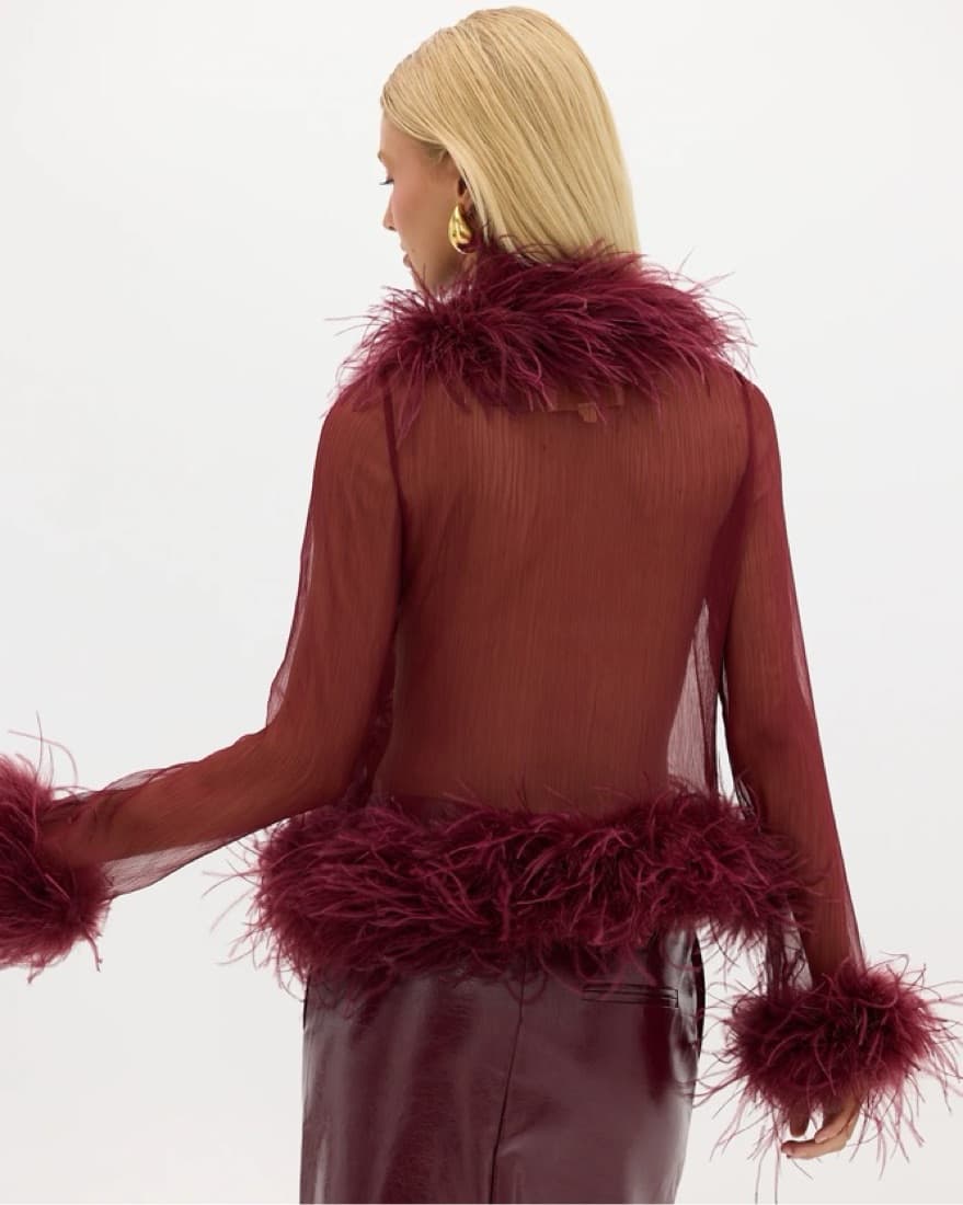 Bubish Sheer Feather Blouse Cherry - Image 3