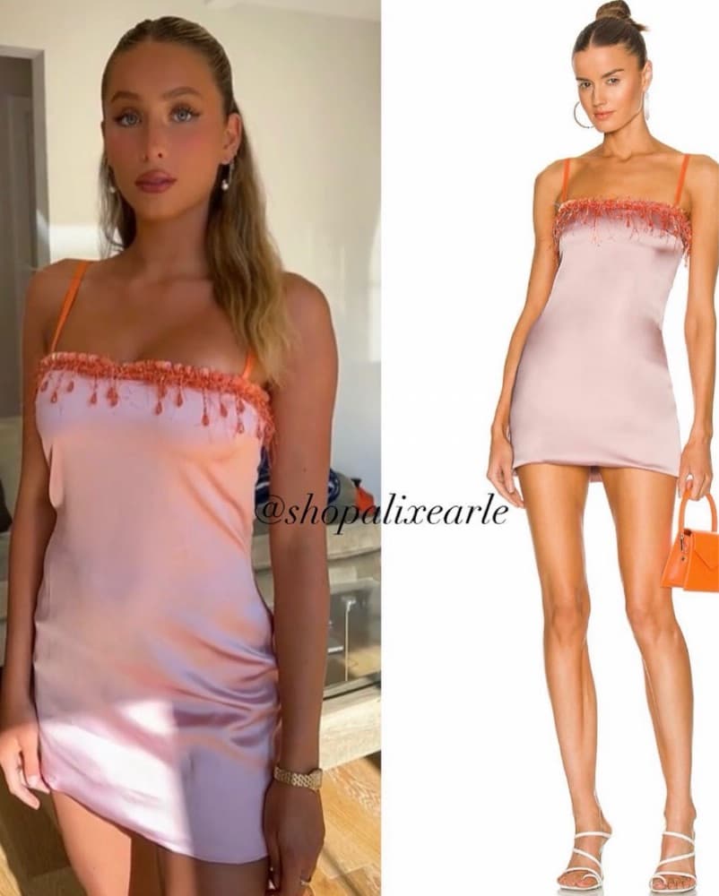 Danielle Guizio Mini Dress - Image 2