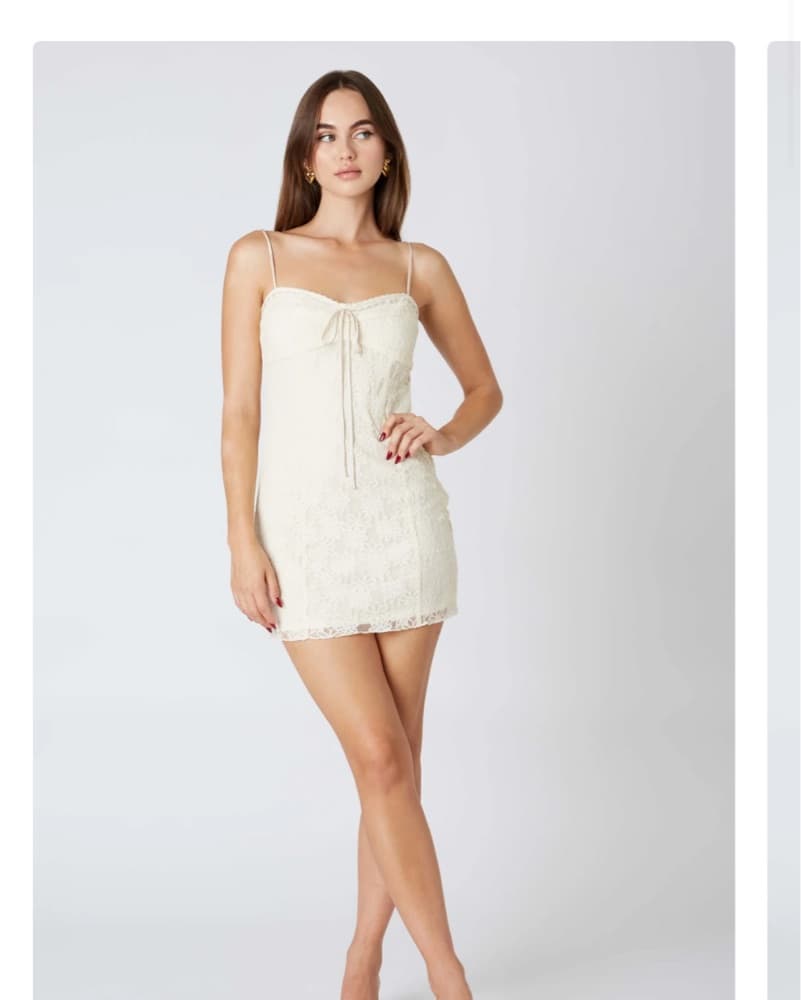Lace Mini Dress - Image 1