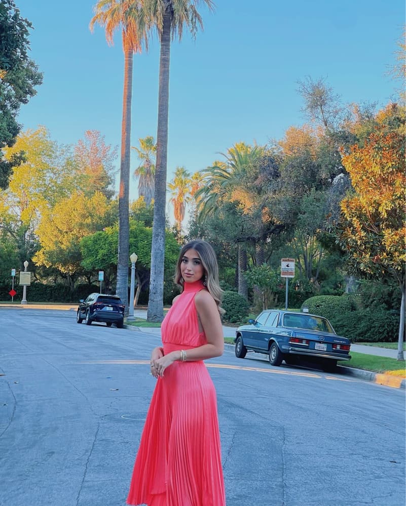 ALC Pleated Coral Midi Dress - Image 4