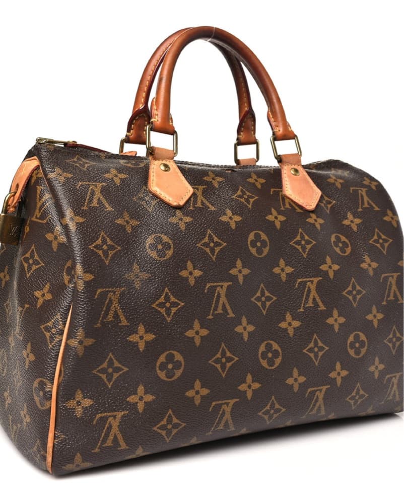 Louis Vuitton Speedy - Image 1