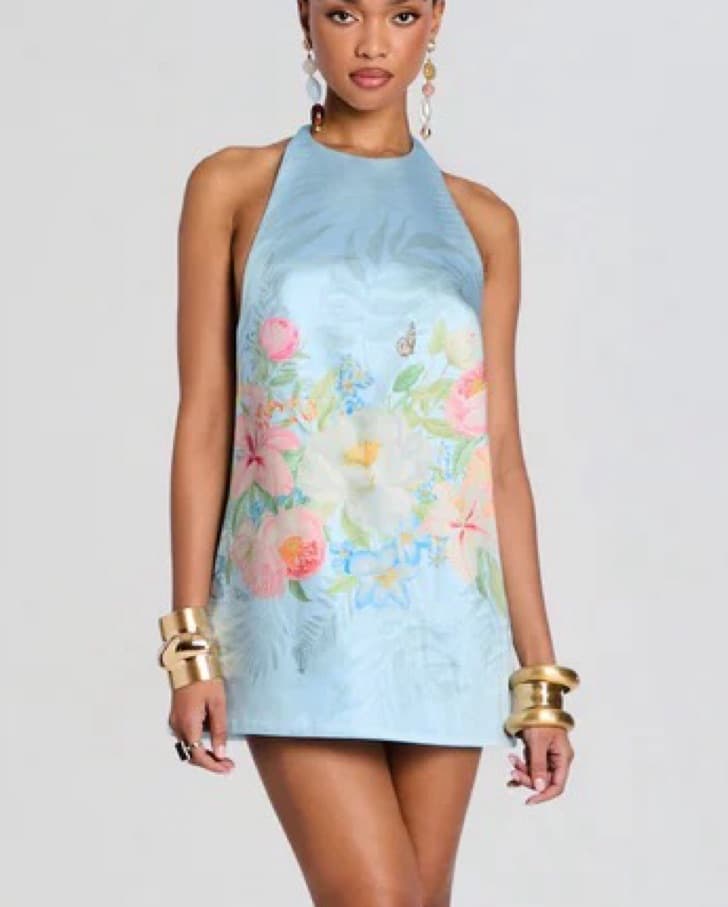 Retrofête Drexley Dress - Image 1