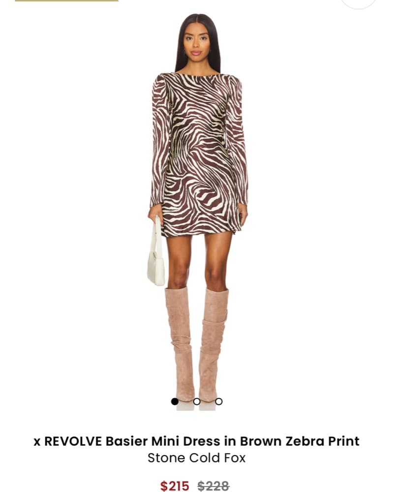 Stone Cold Fox Basier Mini Dress  - Image 1