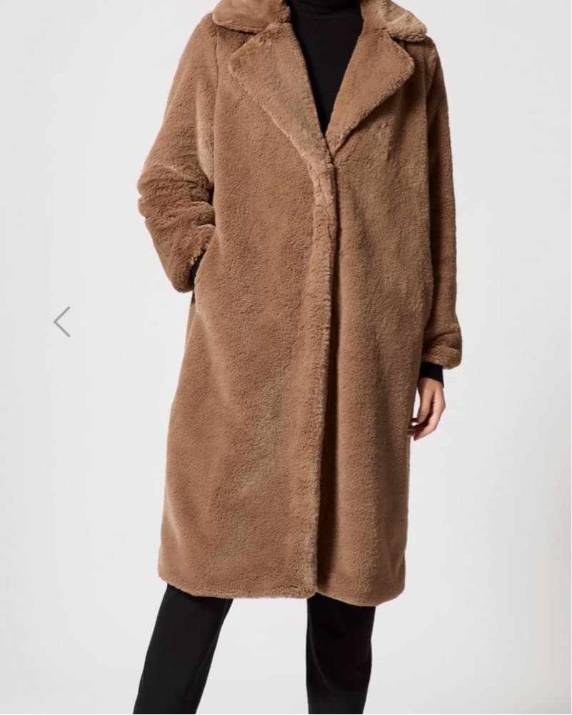 Faux Fur Teddy Coat  - Image 1