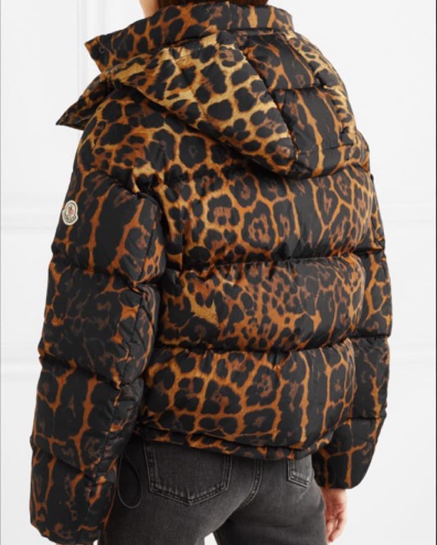 Moncler Leopard Down Jacket - Image 1