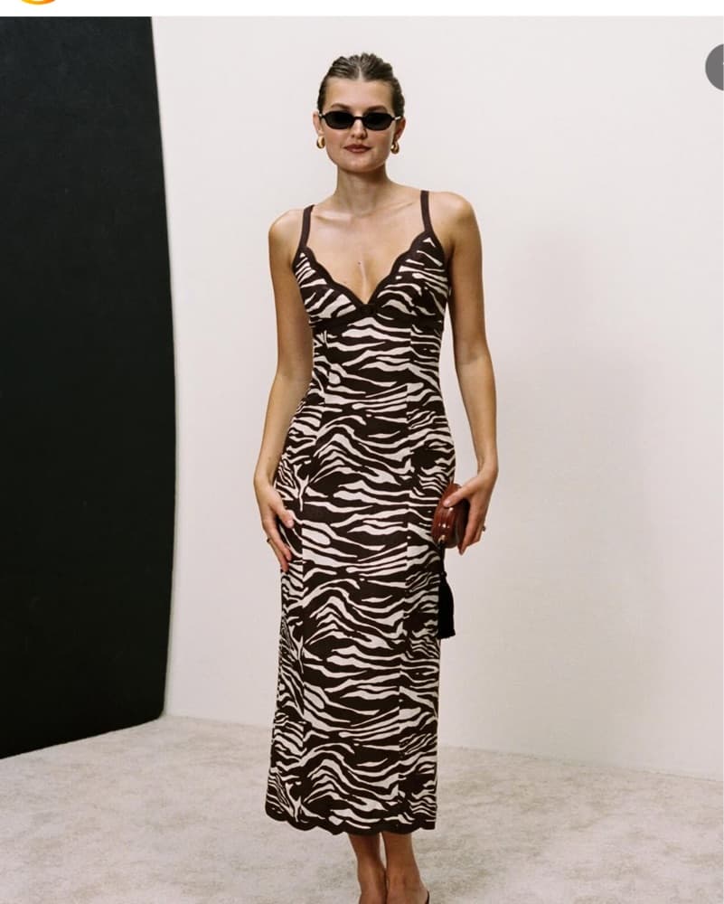 Reformation Zebra Dress | Animal Print Dress, Safari Outfit, Safari Dress, South Africa Outfits - Image 4