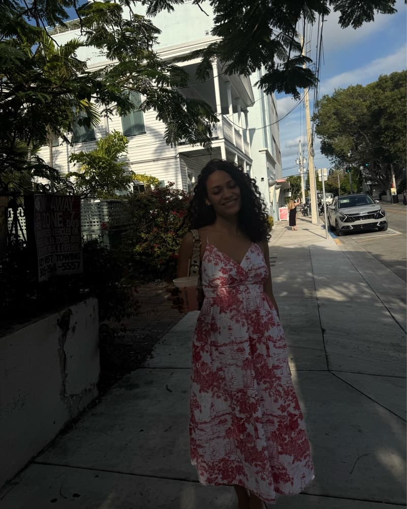 Vineyard Vines Toile Midi Dress - Image 4