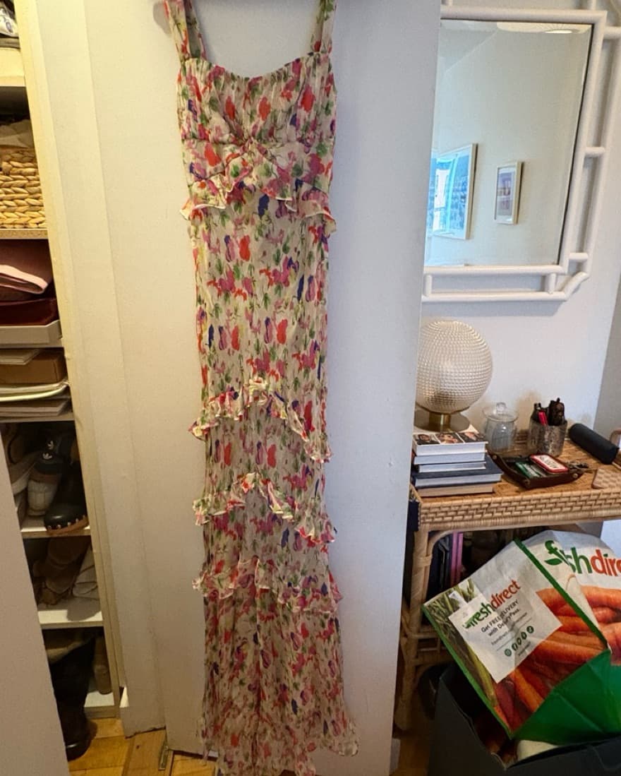 Saloni Gown - Image 2