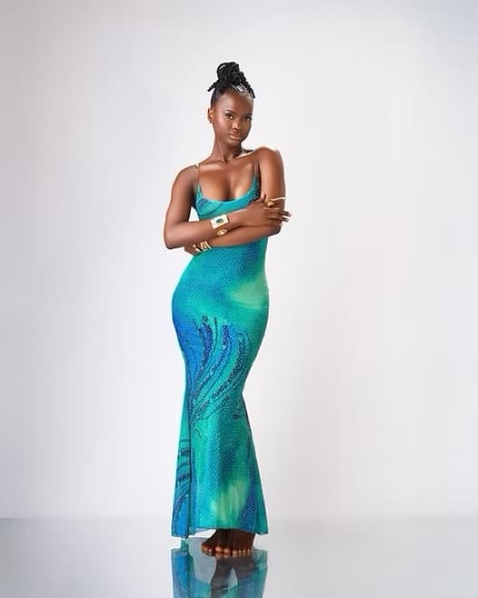 Seta The Label Illusion Dress - Image 1