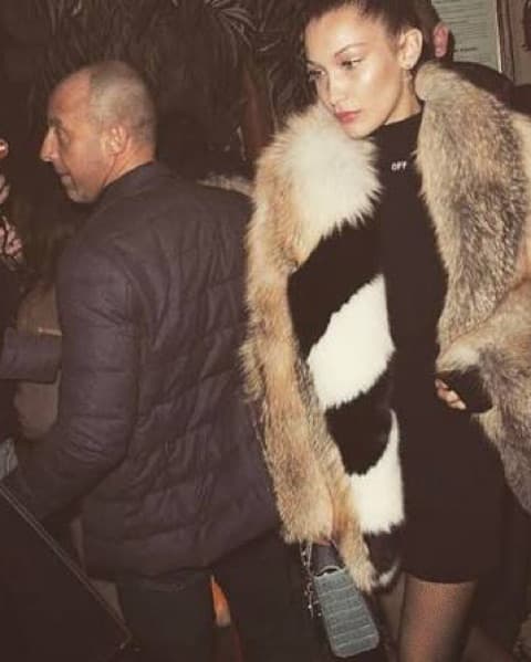 F/W 2017 Off White Arctic Fox Fur Coat - Image 3